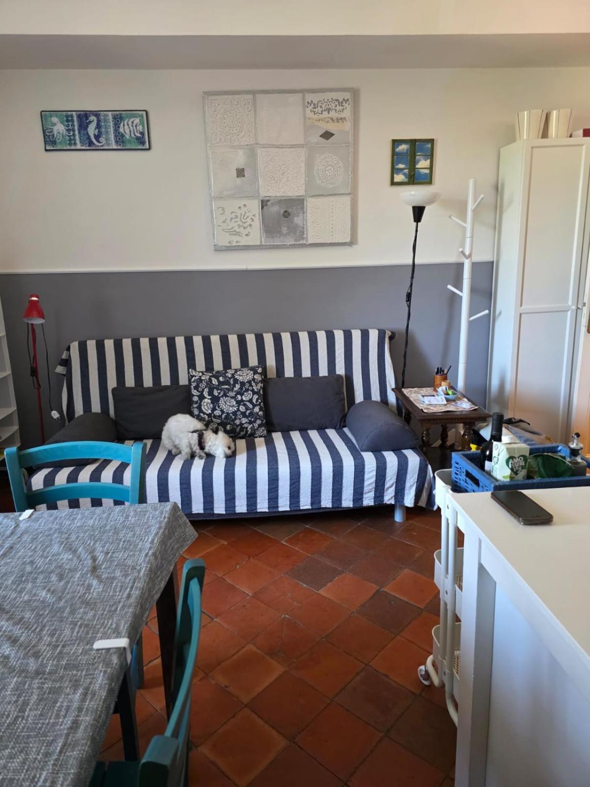 The Shell - New Interior Look But Same Old Charme 200Mt From The Sea With Garden And Parking Nearby Apartment Imperia Luaran gambar