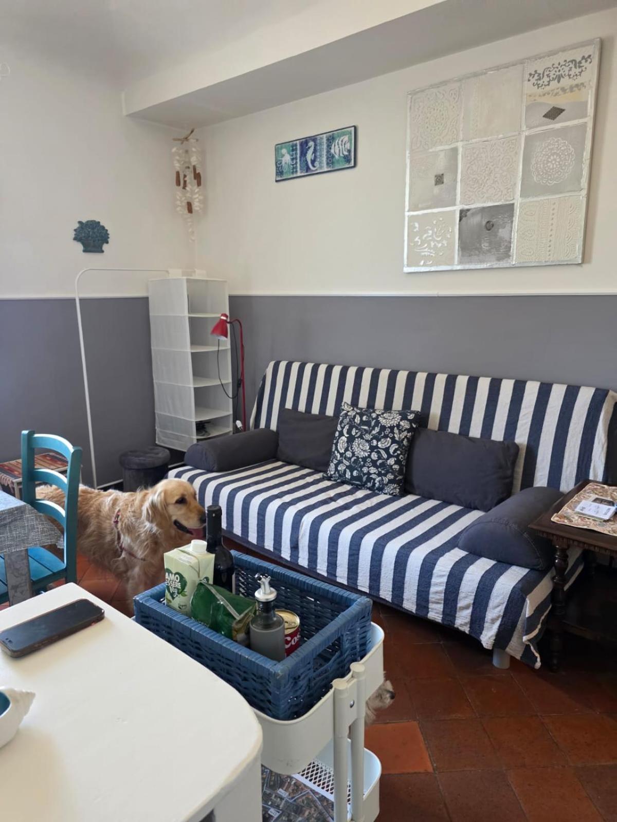 The Shell - New Interior Look But Same Old Charme 200Mt From The Sea With Garden And Parking Nearby Apartment Imperia Luaran gambar