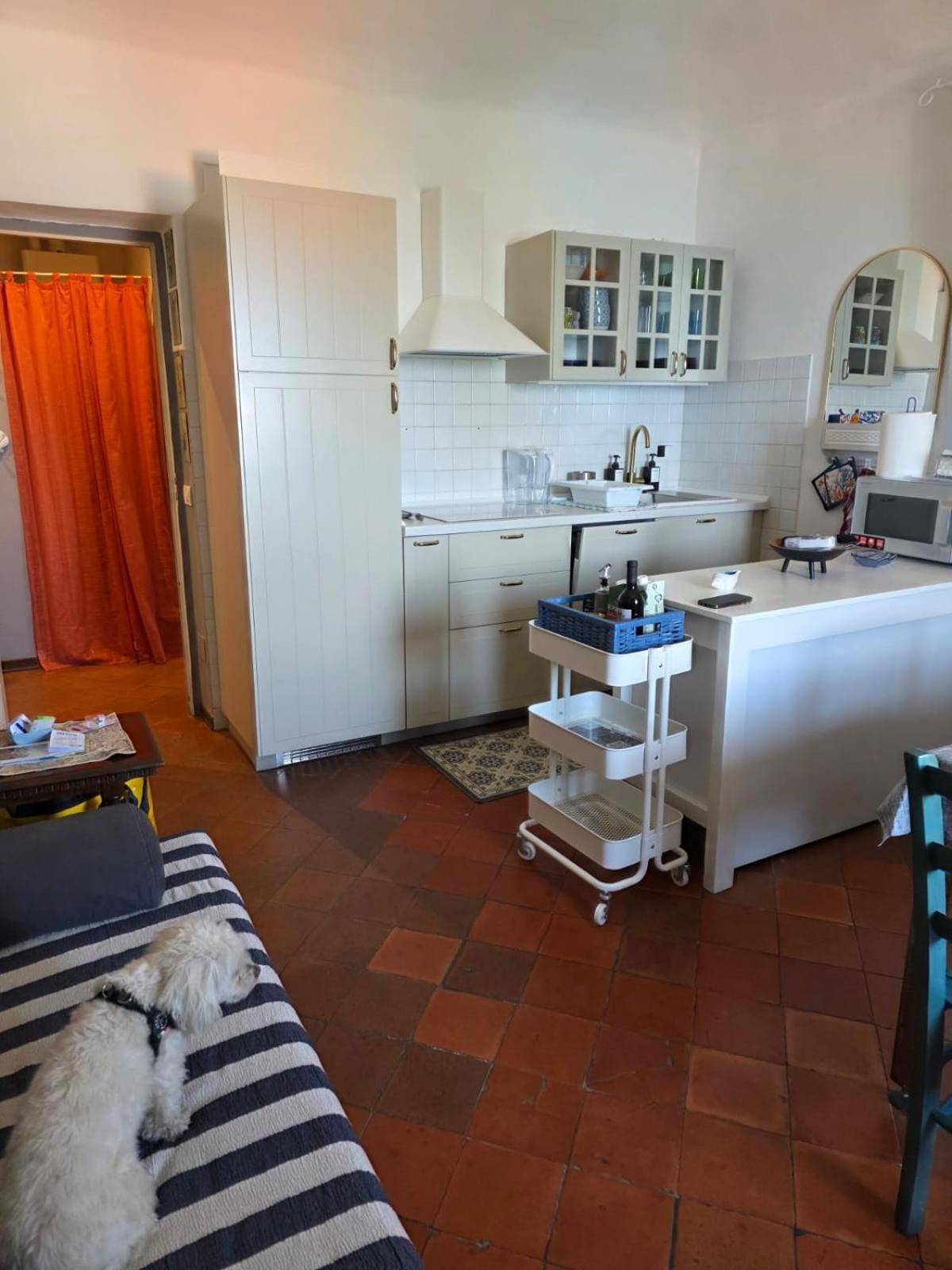 The Shell - New Interior Look But Same Old Charme 200Mt From The Sea With Garden And Parking Nearby Apartment Imperia Luaran gambar